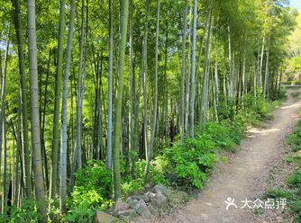 江南四大禅院之首径山寺