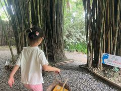-大象粑粑造纸公园