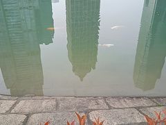 -陆家嘴中心绿地