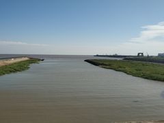 -芦潮港集贸市场