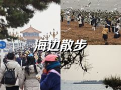 -青岛海滨风景区