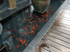 -旅马餐厅(茅家埠店)