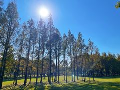 -上海交通大学(闵行校区)