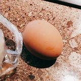 今天在豆浆油条这家买的，因为他们家的素菜包子比较多