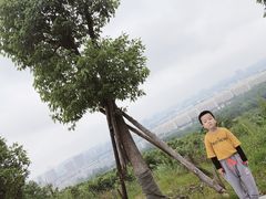 -南京市江宁方山