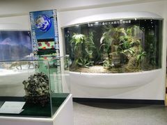 -中国第四纪冰川遗迹陈列馆
