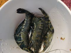 -养牛邓·潮汕牛肉海鲜自助火锅(广州店)