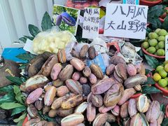 -捞沙巷