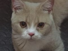 -爱侣宠医·鹦鹉专科·小型哺乳类·异宠专科(灵石路店)