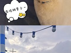 -Blue Concept Cafe&Farm·關於藍