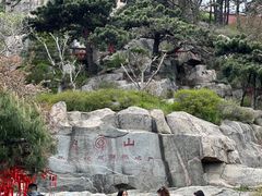 -泰山风景名胜区