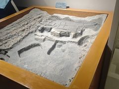 -洛阳周王城天子驾六博物馆