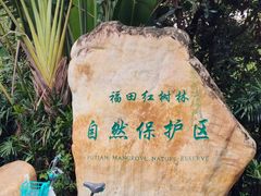 -宝安西湾红树林湿地公园