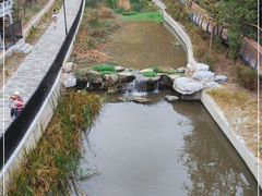 -白水寺森林公园