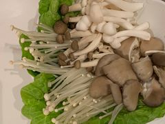 菌菇拼盘-九鼎轩脆毛肚火锅(三钢里店)