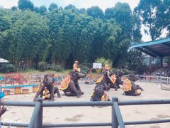 -云南民族村