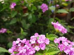 -墨居上隐·院子里火锅(峨眉店)