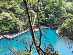 -祁门牯牛降观音堂风景区