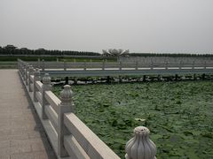 -呼兰河口湿地公园