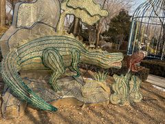 -南宫五洲植物乐园