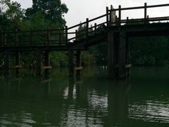 -梁鸿国家湿地公园