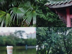 -天河公园(天园街道)