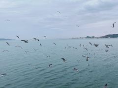 -幸福门