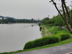 -羊山湖公园