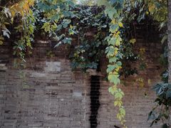 -张学良旧居陈列馆(大帅府)