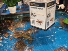 水产区-盒马鲜生(丁香国际店)