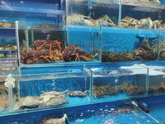 -岳各庄批发市场(西四环中路店)