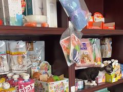 -宠爱国际动物医院·疑难骨科·心肾内科·皮肤科(太阳宫店)