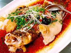 清蒸笋壳鱼-博多新记·粤菜(复兴店)