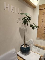 -可樱汇·美容洗发SPA