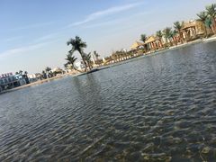 -傣妹火锅(狮子桥店)