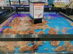 -盒马鲜生(岭南新世界店)
