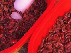 -红星农贸综合市场