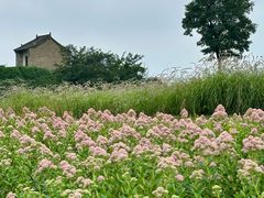 -汉长安城未央宫国家考古遗址公园