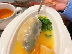 -沈灶河豚宴·河豚融合餐厅(汉中路店)