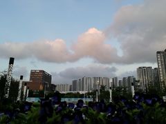 -深圳大学总医院