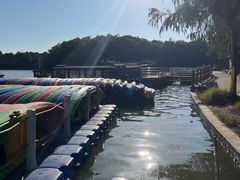 -上海海湾国家森林公园