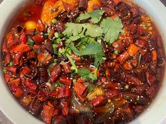 -仰德楼新京菜烤鸭店