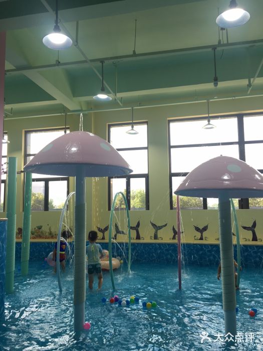 温岭哈泊妮水上乐园游泳馆图片