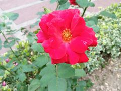 -苏州河梦清园环保主题公园