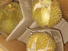 -双福水果批发市场