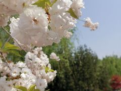 -唐城墙遗址公园