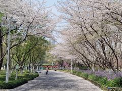 -白塘生态植物园
