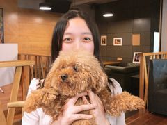 -萌喵宠狗爱心宠咖