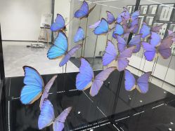 -酷嗒动物文化乐园(cutezoo西溪乐天城店)