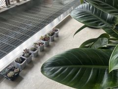 -WeWork中国(三里屯11号社区店)